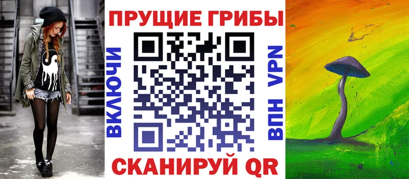 купить наркоту Бавлы Псилоцибиновые грибы ЛСД